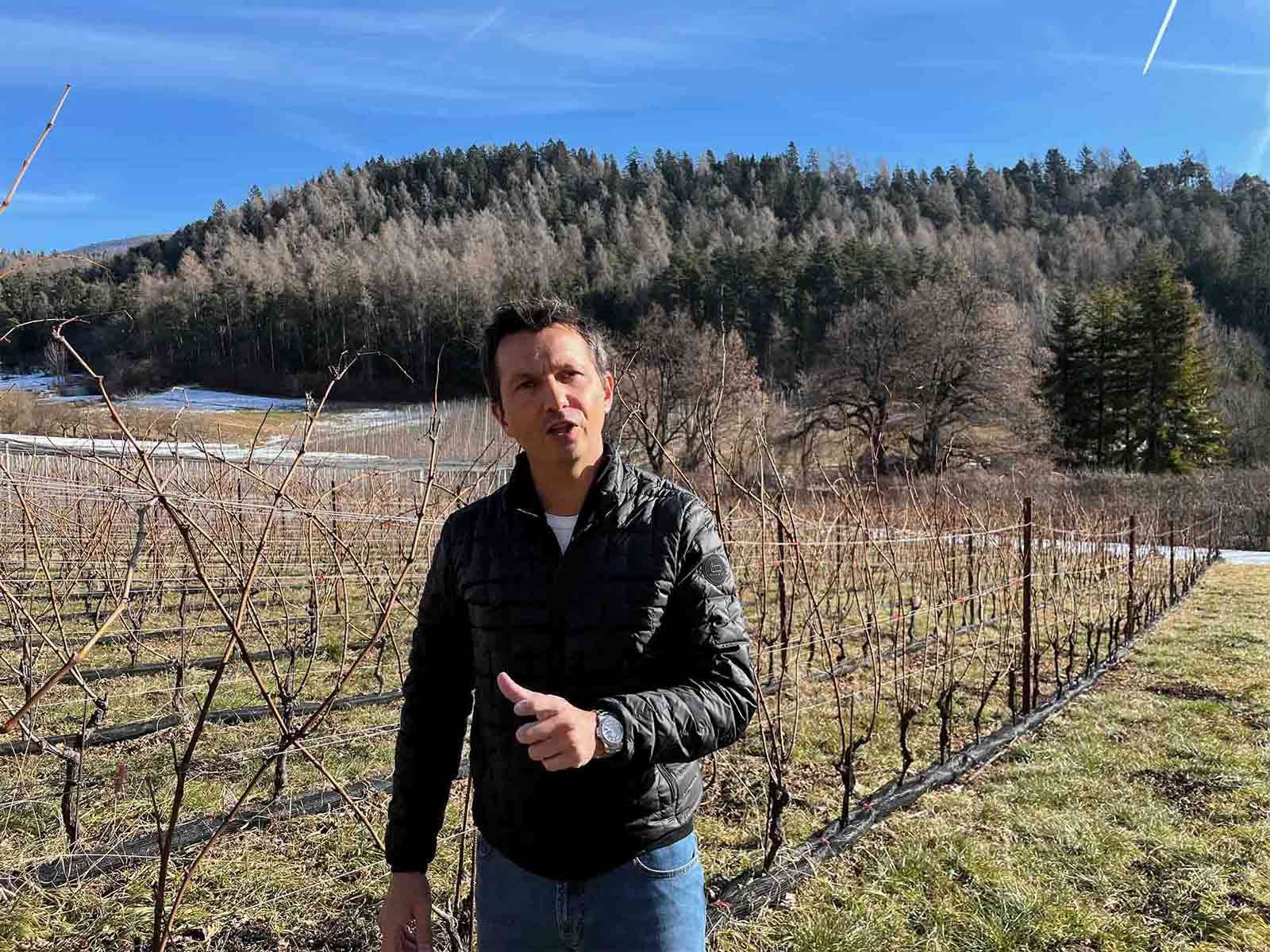 Nicola Biasi in his high-altitude vinyeard
