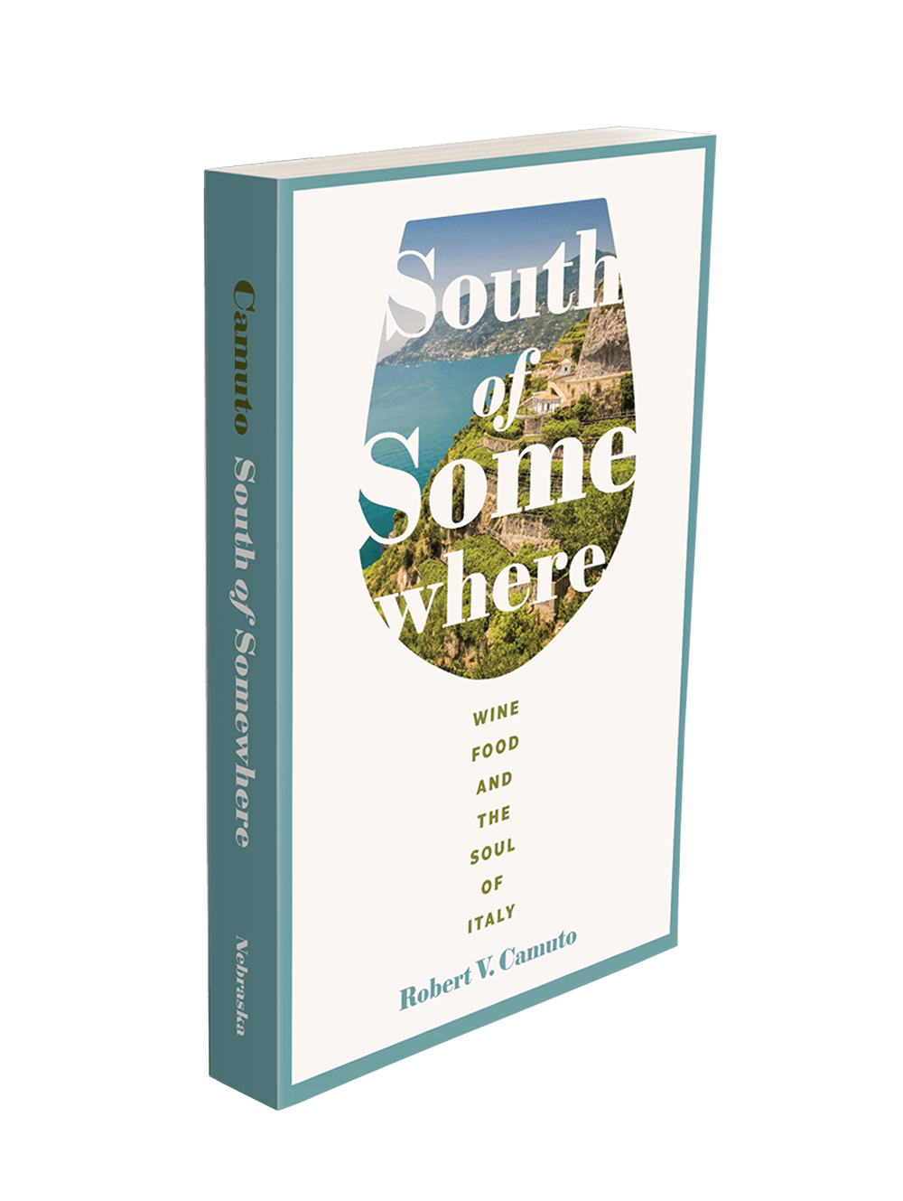 South of Somewhere by Robert Camuto