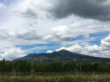 The region's layered soils, which contribute to Aglianico's character, include a mix of lava and ash from long-dormant Mt. Vulture.                                                                (Robert Camuto)