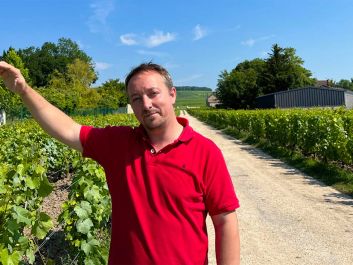 Guillaume Doyard’s Clos de l'Abbaye vineyard contains Chardonnay vines with a mutation that contributes distinctive aromas to the wines.                                                                (Robert Camuto)