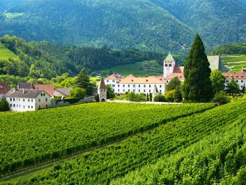 The winery at Abbazia di Novacella has been devoting attention to the Sylvaner grape, as a potential signature variety for the Isarco Valley.                                                                (Hannes Ochsenreiter)