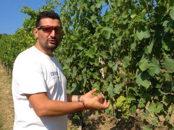 Leopardo Felici in his Apiro vineyards                                                                (Robert Camuto)