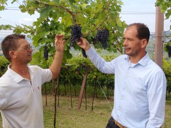In Speri’s Sant’Urbano vineyards, Giampaolo Speri (right) and brother Giampietro are part of the family’s sixth winemaking generation.                                                                 (Robert Camuto)