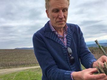 Stefano Ruini, Luce’s winemaker, insists, “I am not a winemaker.”                                                                (Robert Camuto)