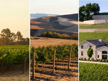 Great Cabernet and other Bordeaux varieties can be grown in many places, with each site showing its own character. From left: To Kalon Vineyard in Napa Valley, Waterbrook Estate in Washington and Château Pavie in Bordeaux's St.-Emilion appellation.                                                                (Courtesy of Robert Mondavi Winery | Stephanie Cristalli | Deepix Studio)