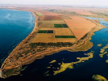 Once barely found in its homeland around Tortona, the Timorasso grape is now growing along the coast of the Black Sea, at Ukraine's Beykush winery.                                                                (Courtesy of Beykush)