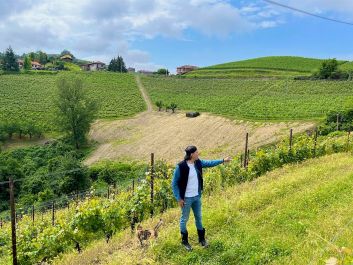 Despite already having a Sonoma winery and an electric-tractor business in California, Carlo Mondavi decided to buy Sorì della Sorba vineyard in Diano d’Alba with his wife, Giovanna Bagnasco, who runs Brandini winery in La Morra.                                                                (Robert Camuto)