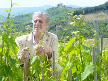 Francesco Illy has planted Sangiovese at densities higher than 25,000 vines per acre for his sought-after Rosso di Montalcino Bonsai.                                                                (Sandro Michahelles)
