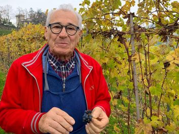 An unusual vine's miniature bunches and berries first caught Luciano Sandrone's attention; then he discovered that they produced an unusually intense wine.                                                                (Robert Camuto)