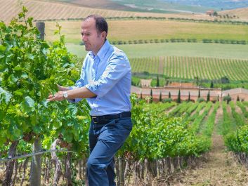 Antonio Rallo is now making wine in multiple appellations around Sicily.                                                                (Fabio Gambina)