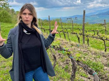 Allegra Selvaggi moved to an extinct volcano in Campania to help fulfill her father's dream of making Caserta province known for its wine.                                                                (Robert Camuto)