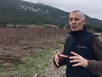 Pierre Ravaille in a stony vineyard of Ermitage du Pic St.-Loup                                                                (Robert Camuto)