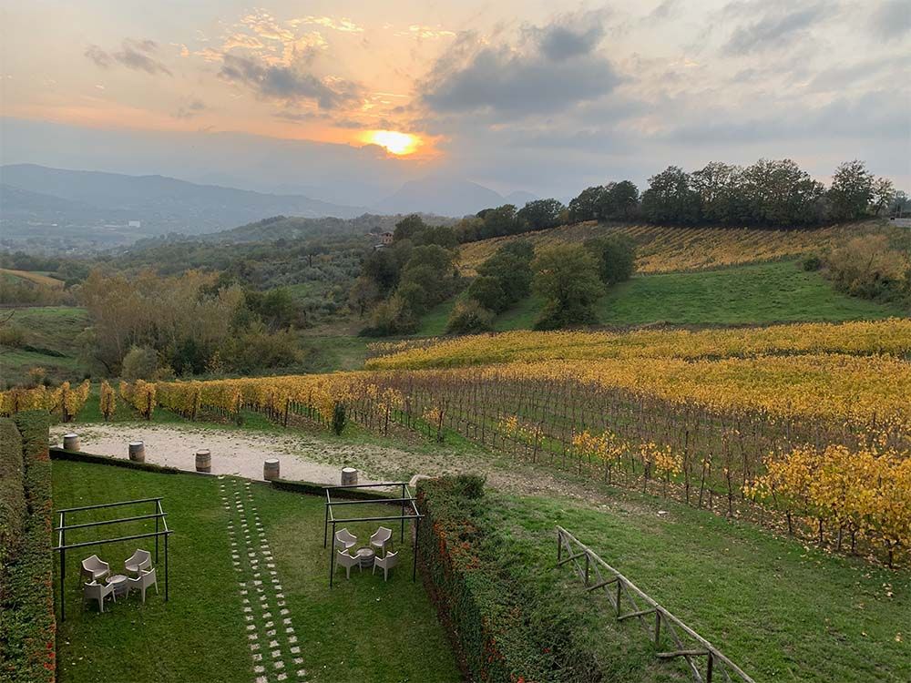 The Fiano view from Feudi di San Gregorio's winery in Sorbo Serpico