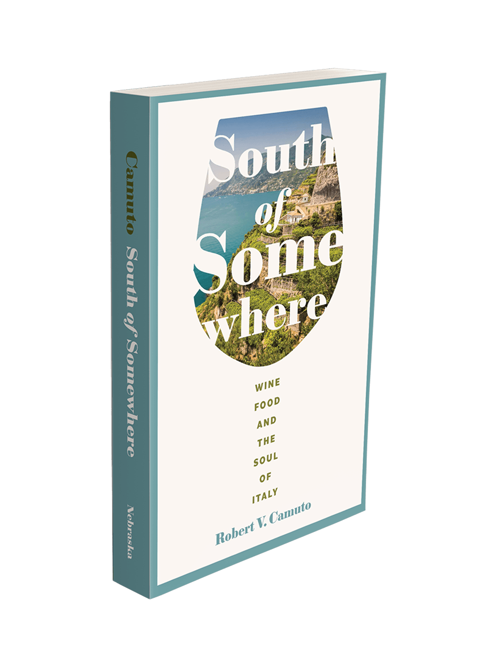 South of Somewhere by Robert Camuto