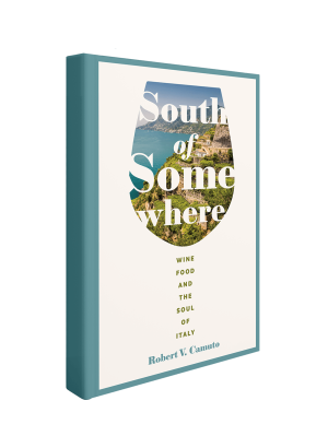 South of Somewhere by Robert Camuto