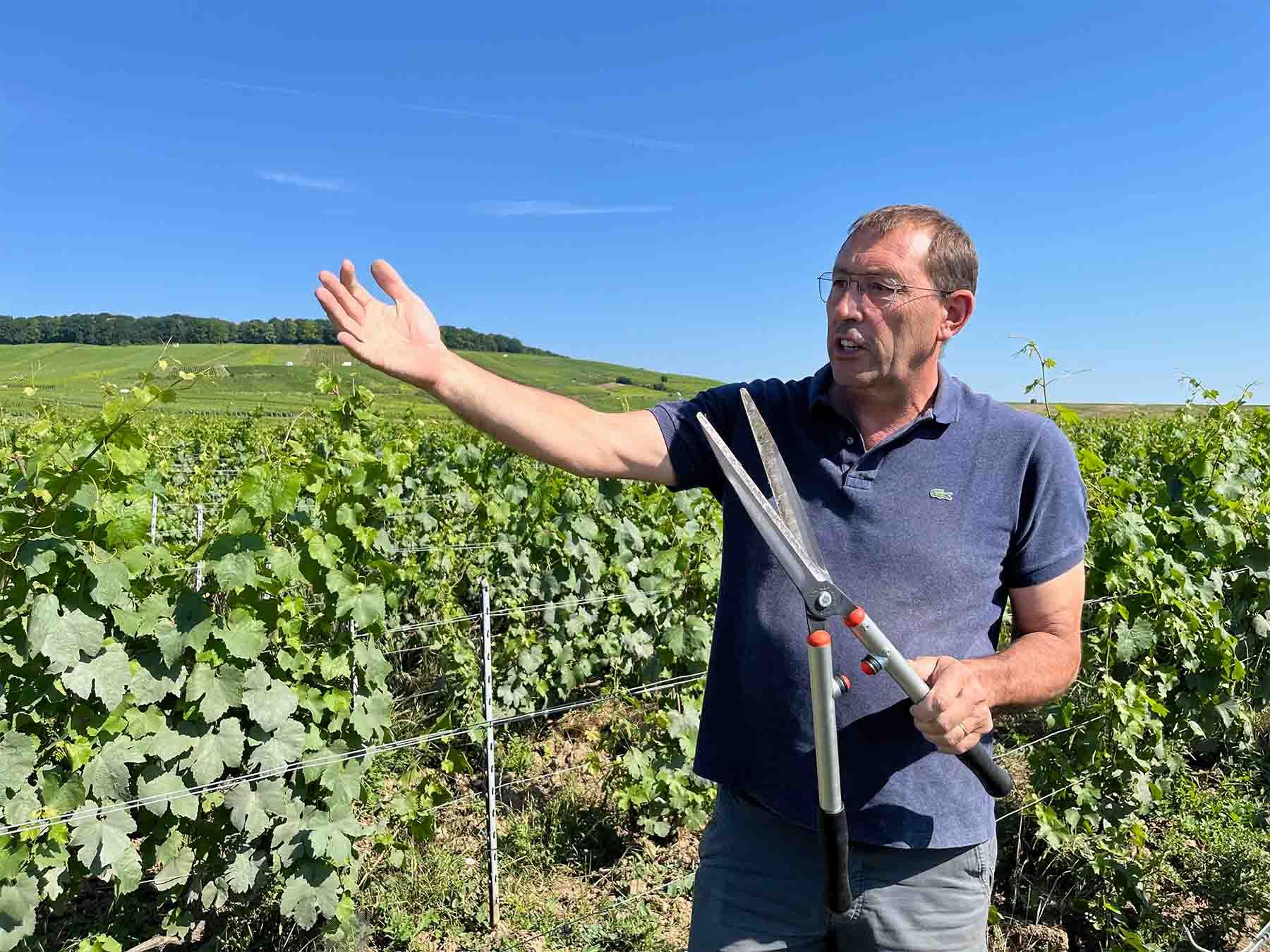 Pierre Larmandier of Larmandier-Bernier